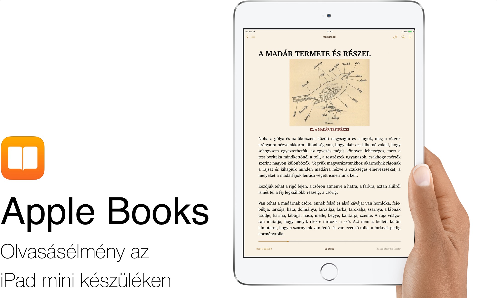 Apple Books - könyvolvasás az iPad mini felületén